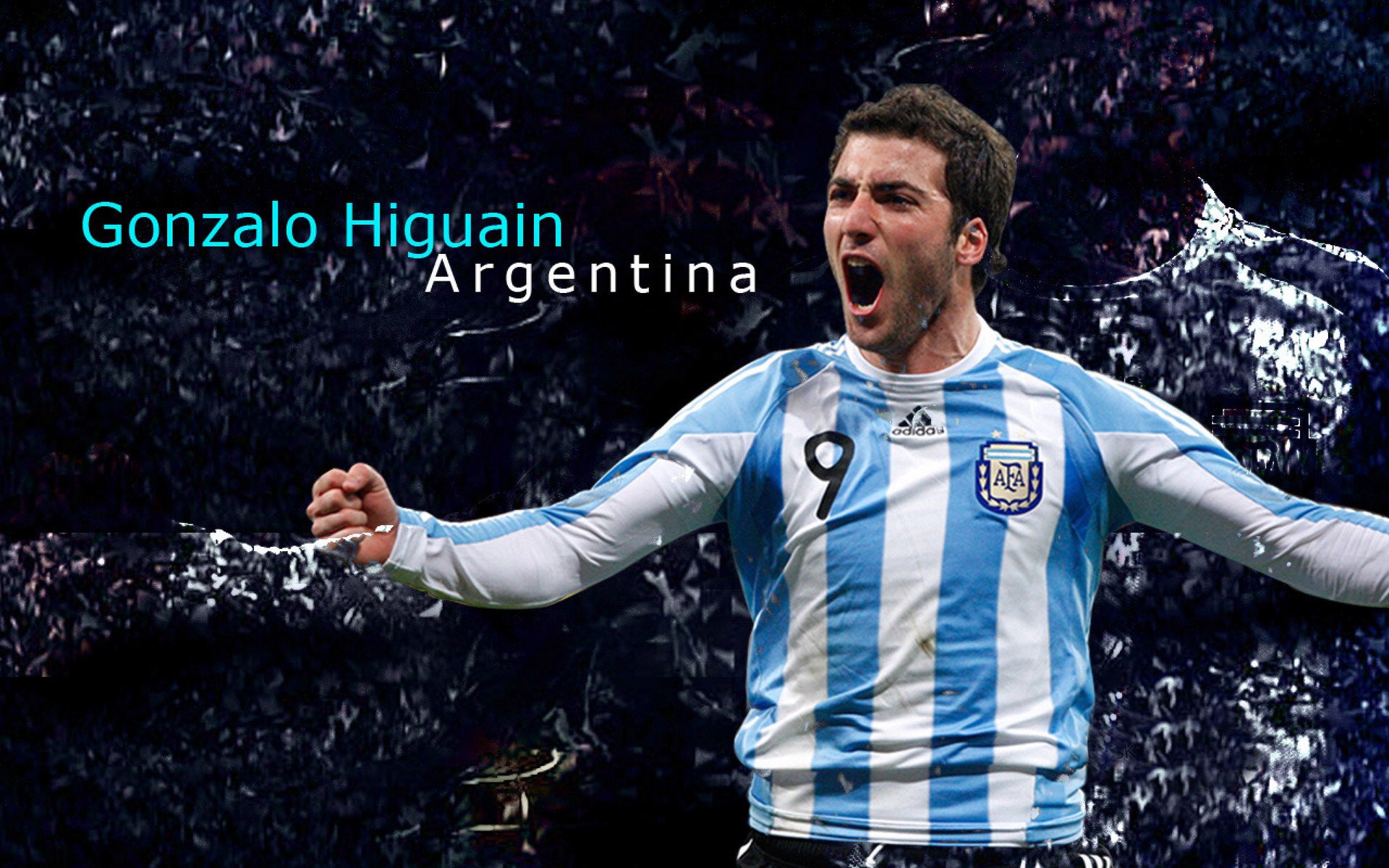 美国马术协会授予麦克莱恩·沃德“年度最佳马匹护理员”称号。