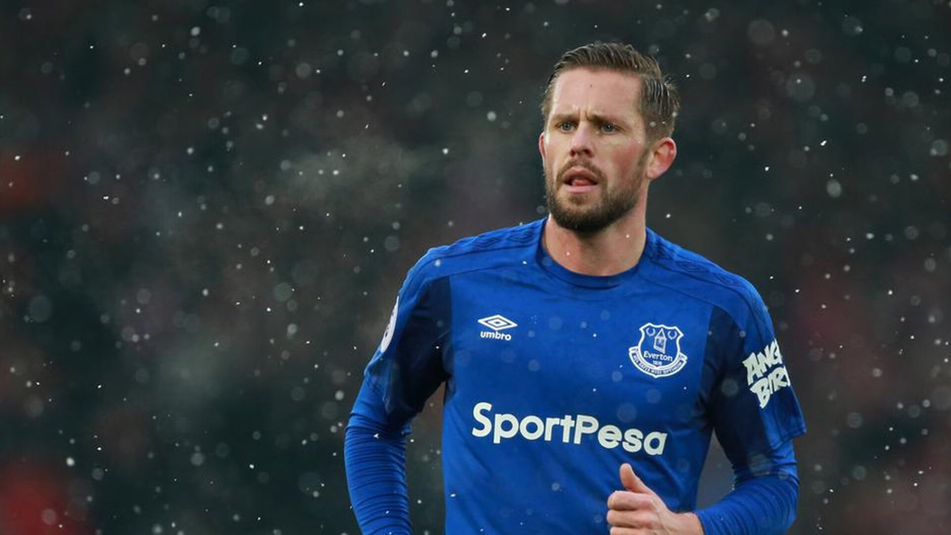 starsky sports直播-狼堡球队教练战术调整，球队胜负颠倒有望，狼堡主帅