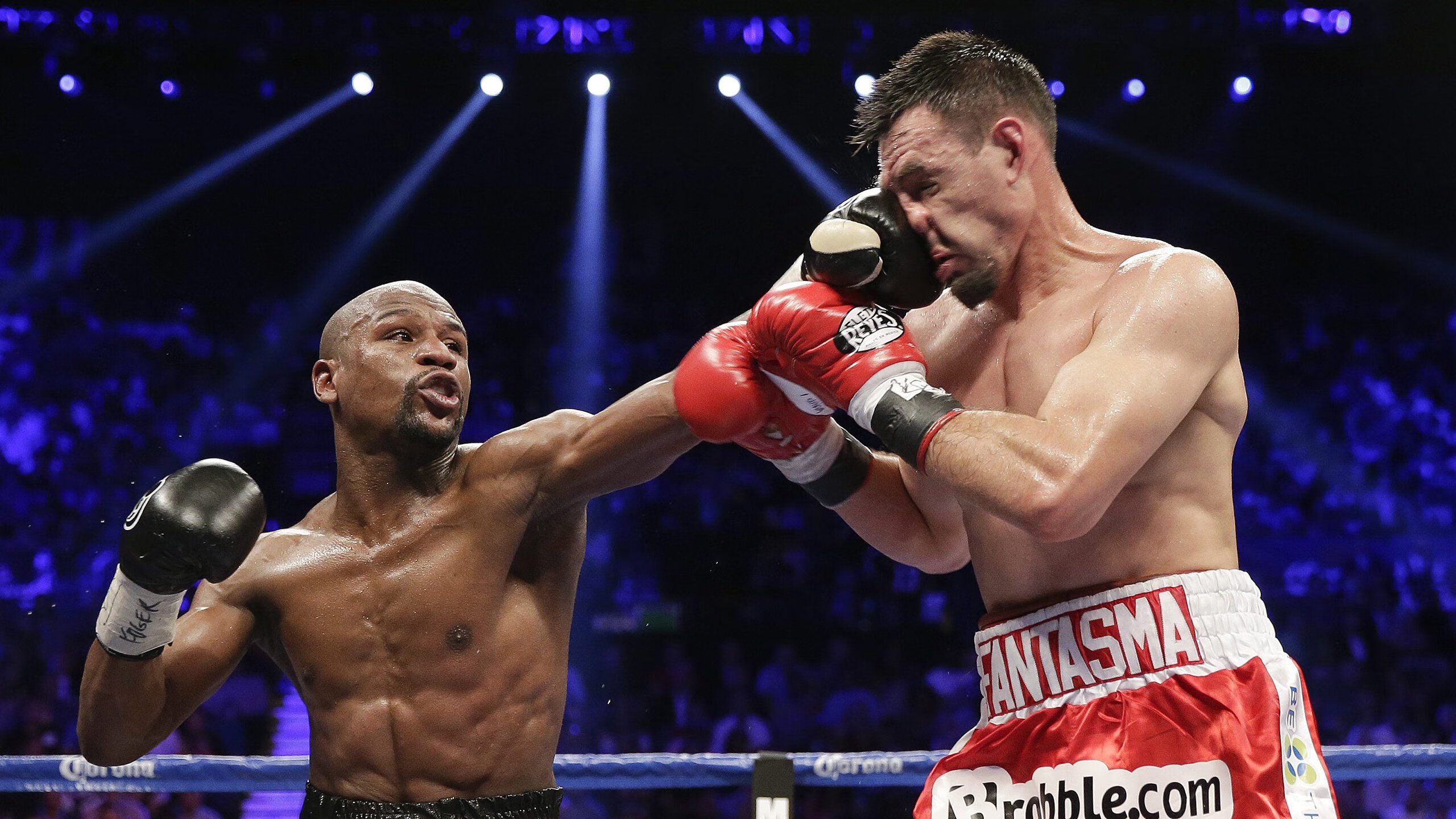 美国短蝶项目无敌手