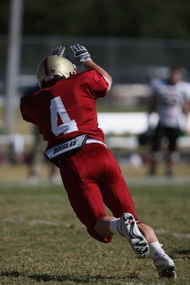 星空投注-利兹联爆冷击败排名靠前的球队，士气大振